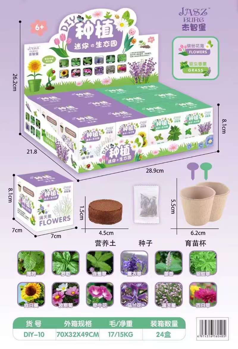 盆栽種植 (一盒12個混款出)